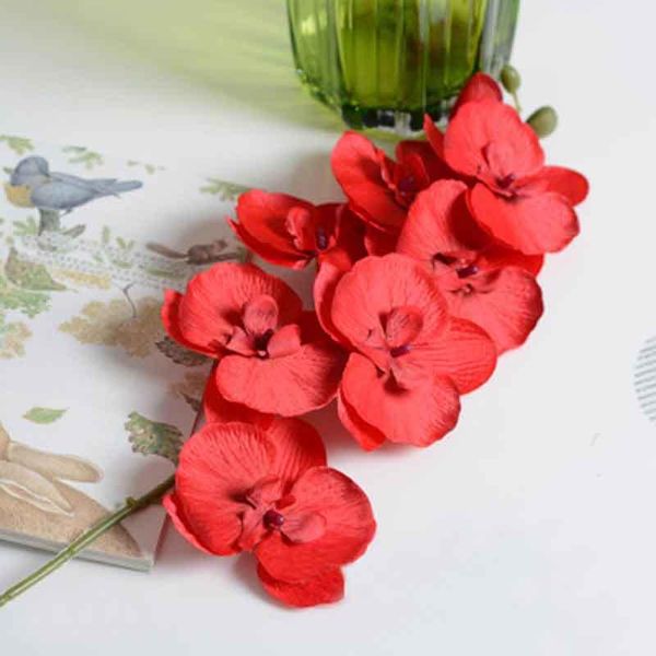 decorative flowers & wreaths 1 branch silk flower artificial moth orchid butterfly for house home wedding festival decoration 11 colors
decorative flowers & wreaths 1 branch silk flower artificial moth orchid butterfly for house home wedding festival decoration 11 colors