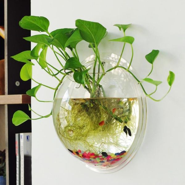aquariums mini aquarium tank wall mount hanging glass fish decoration home plants bowl breeding box for
aquariums mini aquarium tank wall mount hanging glass fish decoration home plants bowl breeding box for