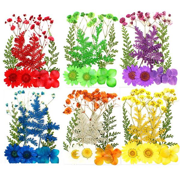 natural dried flowers leaves plants filling materials pressed flowers material diy nail art floral decor handmade home craft
natural dried flowers leaves plants filling materials pressed flowers material diy nail art floral decor handmade home craft