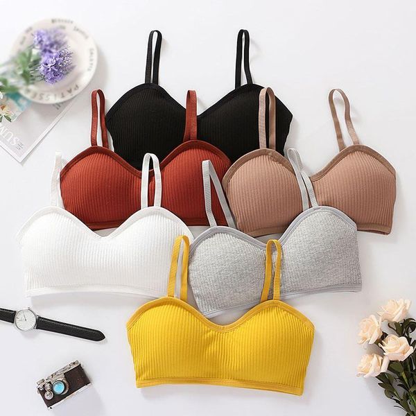 yoga outfit padded bralette push up for women wire brassiere seamless underwear female lingerie intimates sport bra
yoga outfit padded bralette push up for women wire brassiere seamless underwear female lingerie intimates sport bra