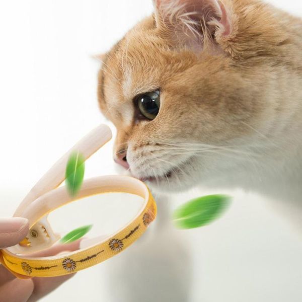 cat collars & leads cute adjustable puppy kitten necklace cats dog anti-bugs removal pet rings pets supplies
cat collars & leads cute adjustable puppy kitten necklace cats dog anti-bugs removal pet rings pets supplies