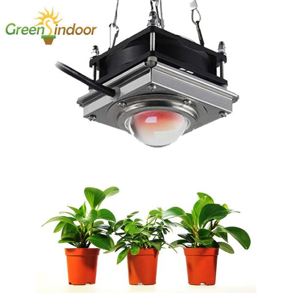 cob led lights indoor lamp for house plants led fitolamp full spectrum grow light home grow box growing phytolamp garden care
cob led lights indoor lamp for house plants led fitolamp full spectrum grow light home grow box growing phytolamp garden care