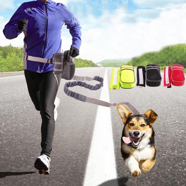 dog collars & leashes adjustable leash puppy collar running training lead waist belt dogs strap pet elastic traction rope set pets accessori
dog collars & leashes adjustable leash puppy collar running training lead waist belt dogs strap pet elastic traction rope set pets accessori