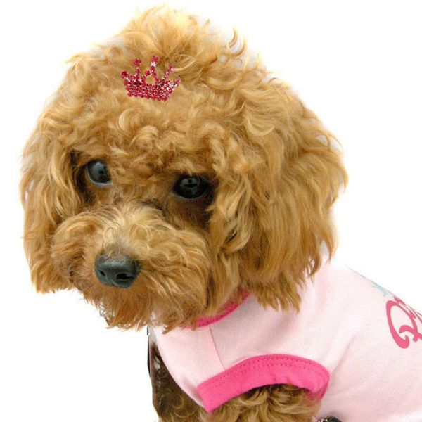 dog apparel accessories pet grooming for puppy cat hair clip crown bow hairpins multicolor headwear
dog apparel accessories pet grooming for puppy cat hair clip crown bow hairpins multicolor headwear