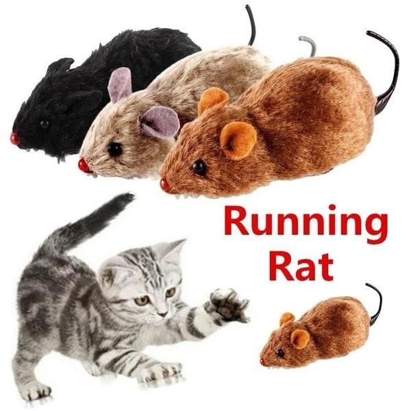 cat toys 1pcs cute plush fur toy shake movement mouse pet kitten funny rat safety little interactive gift
cat toys 1pcs cute plush fur toy shake movement mouse pet kitten funny rat safety little interactive gift