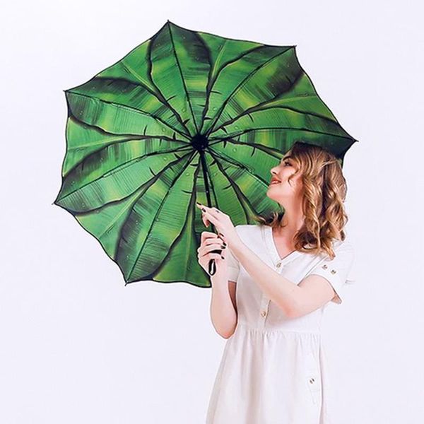 umbrellas green banana leaf umbrella for women dual-use sunny and rainy sunshade uv protection parasol 3 folding art oil painting
umbrellas green banana leaf umbrella for women dual-use sunny and rainy sunshade uv protection parasol 3 folding art oil painting