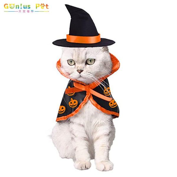 cat costumes pet dog halloween cloak dress up cape ghost festival cosplay funny comfortable for small meduim lagre pets cats supplies
cat costumes pet dog halloween cloak dress up cape ghost festival cosplay funny comfortable for small meduim lagre pets cats supplies
