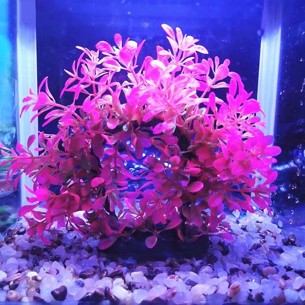 decorations fish tank landscape simulated water grass flower environmental protection materials pvc aquarium ornaments decoration
decorations fish tank landscape simulated water grass flower environmental protection materials pvc aquarium ornaments decoration