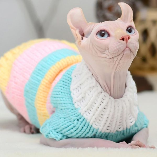 cat costumes sphinx deven clothes hairless warm sweater pet autumn winter knitting british kitten siam year dress
cat costumes sphinx deven clothes hairless warm sweater pet autumn winter knitting british kitten siam year dress