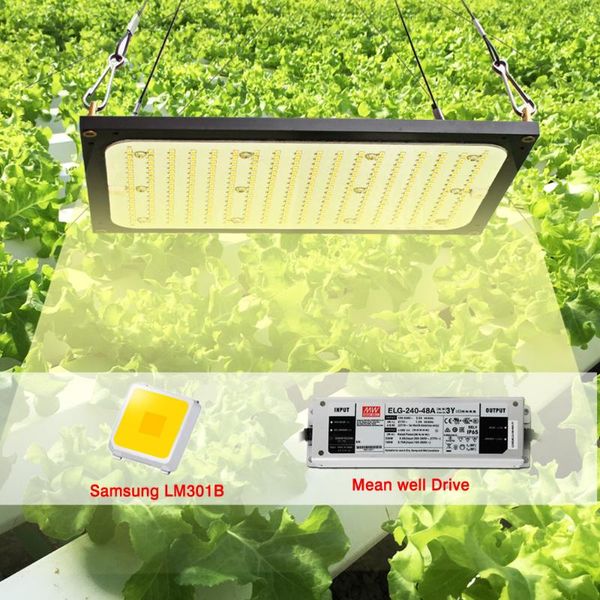 120w led grow light samsung lm301h/lm301b quantum tech board full spectrum indoor grow tent hydroponic lamp for plants
120w led grow light samsung lm301h/lm301b quantum tech board full spectrum indoor grow tent hydroponic lamp for plants
