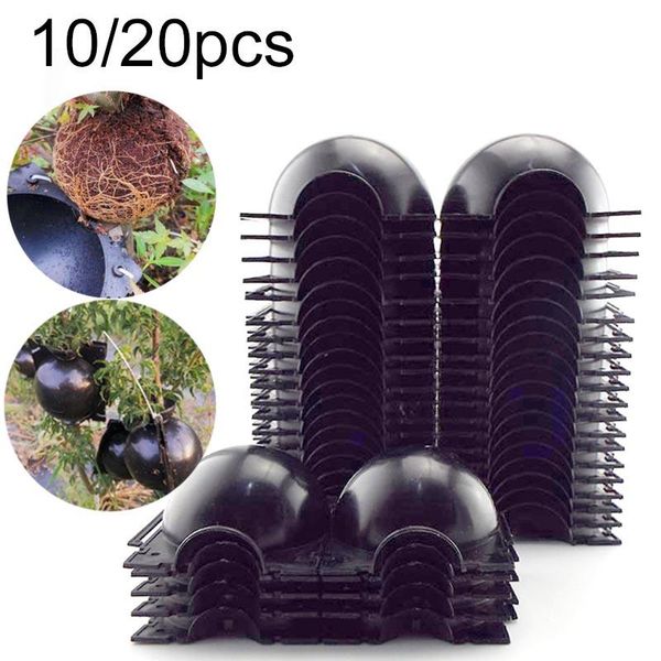 fruit plant tree rooting ball root box plastic case propagation box grafting rooter growing high-pressure breeding ball 10/20pcs
fruit plant tree rooting ball root box plastic case propagation box grafting rooter growing high-pressure breeding ball 10/20pcs