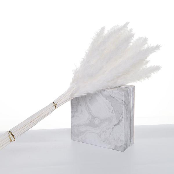 15pcs deco reed bunch pampas grass phragmites home decor pampa decoration para plants decoracion salon casa wedding decor
15pcs deco reed bunch pampas grass phragmites home decor pampa decoration para plants decoracion salon casa wedding decor