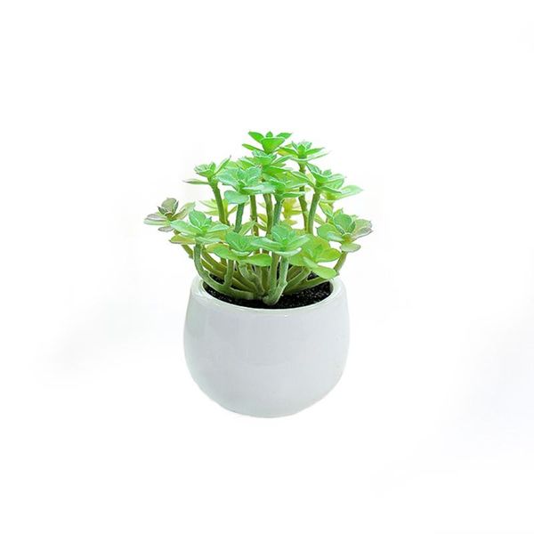decorative flowers & wreaths potted succulents creative decoration artificial flower miniature tree pvc fake table cactus home decorations l
decorative flowers & wreaths potted succulents creative decoration artificial flower miniature tree pvc fake table cactus home decorations l