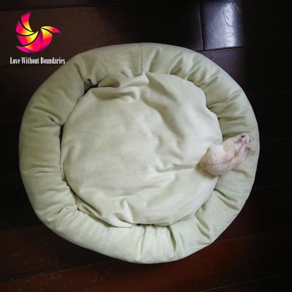 cat beds & furniture dog kennel litter pet waterloo leung than teddy bear medium, small hamster pad diameter 30cm for
cat beds & furniture dog kennel litter pet waterloo leung than teddy bear medium, small hamster pad diameter 30cm for