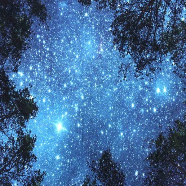 tapestries mandala night sky wall hanging home decoration forest starry tapestry for living room bedroom hippie boho
tapestries mandala night sky wall hanging home decoration forest starry tapestry for living room bedroom hippie boho
