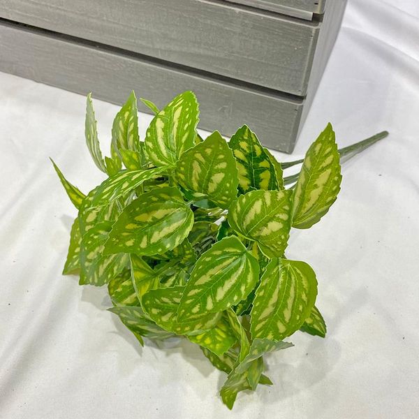 decorative flowers & wreaths ice taro leaf simulation green plant interior decoration wall spot water cold flower bunch
decorative flowers & wreaths ice taro leaf simulation green plant interior decoration wall spot water cold flower bunch