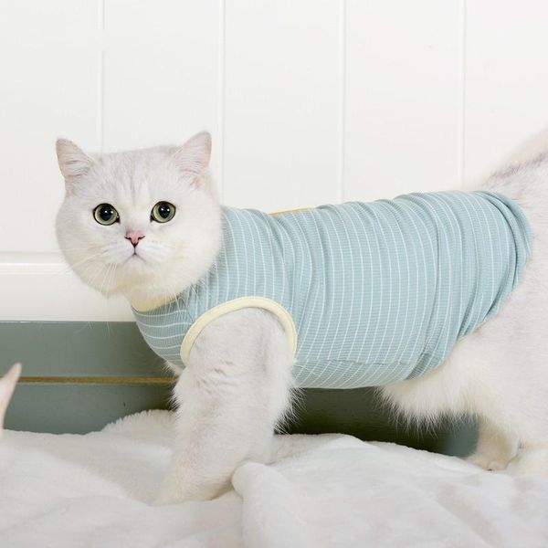 cat costumes 2021 cute kitten clothes spring and summer thin hairless pet blue anti-hair loss vest comfortable breathable
cat costumes 2021 cute kitten clothes spring and summer thin hairless pet blue anti-hair loss vest comfortable breathable