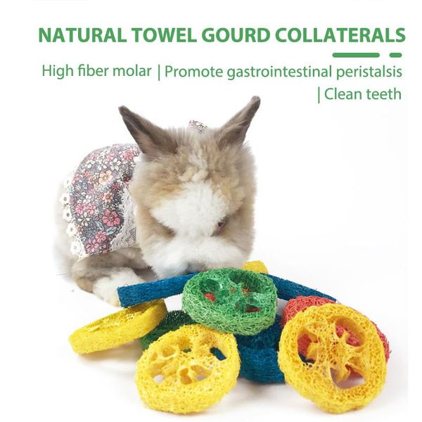 small animal supplies collaterals color toothcleaning loofah slices hamster pet molars natural
small animal supplies collaterals color toothcleaning loofah slices hamster pet molars natural