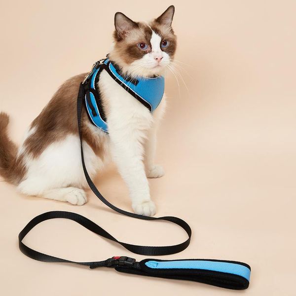 no pull cat harness and leash set reflective adjustable vest with 1 leash attachments, soft control training handlefor cats
no pull cat harness and leash set reflective adjustable vest with 1 leash attachments, soft control training handlefor cats