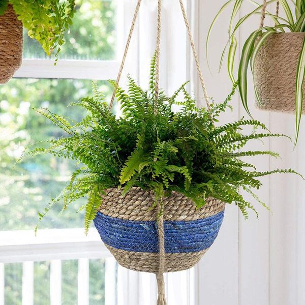 storage baskets jute rope hanging planter garden plant basket woven indoor outdoor flower pot holder macrame hangers home decor
storage baskets jute rope hanging planter garden plant basket woven indoor outdoor flower pot holder macrame hangers home decor