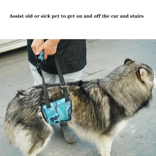 dog collars & leashes pet lift harness vest support leash sling straps for dogs walking auxiliary old full help products
dog collars & leashes pet lift harness vest support leash sling straps for dogs walking auxiliary old full help products
