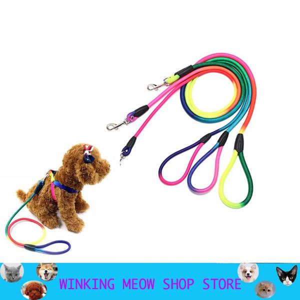 dog collars & leashes training leash slip pet nylon colour rope lead strap traction puppy for a hook small and medium sized accessories s\m\
dog collars & leashes training leash slip pet nylon colour rope lead strap traction puppy for a hook small and medium sized accessories s\m\