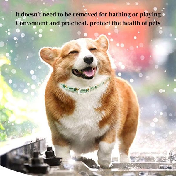cat collars & leads nylon dog collar anti-flea anti-lice waterproof pet plant essential oil flea repellent for multi-size cats dogs
cat collars & leads nylon dog collar anti-flea anti-lice waterproof pet plant essential oil flea repellent for multi-size cats dogs