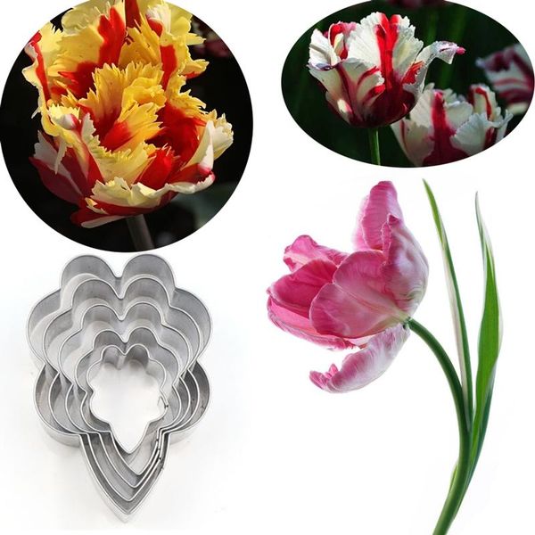 cake tools tulipa 5pcs stainless stell cookie cutter pastry & biscuit baking decorating cupcake mold fondant
cake tools tulipa 5pcs stainless stell cookie cutter pastry & biscuit baking decorating cupcake mold fondant