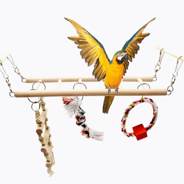 other bird supplies pet swing toy birds parrot climbing chew toys stand hanging decoration for cockatiel parakeet
other bird supplies pet swing toy birds parrot climbing chew toys stand hanging decoration for cockatiel parakeet