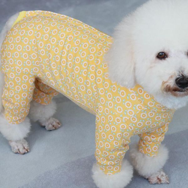 dog apparel pet jumpsuit puppy clothes overalls protect belly 100%cotton for small dogs pajamas long sleeve sweatshirt chihuahua poodle
dog apparel pet jumpsuit puppy clothes overalls protect belly 100%cotton for small dogs pajamas long sleeve sweatshirt chihuahua poodle