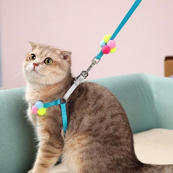 dog collars & leashes balls cat collar harness leash adjustable nylon pet traction kitten accessory cats products belt
dog collars & leashes balls cat collar harness leash adjustable nylon pet traction kitten accessory cats products belt