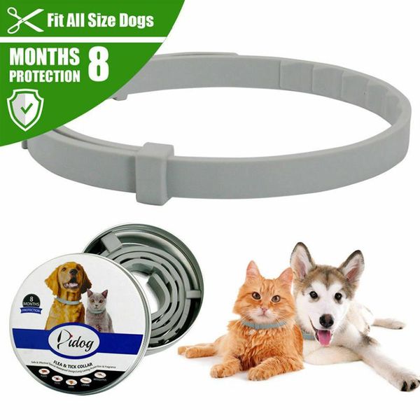 dog collars & leashes cat collar adjustable anti flea and tick neck for pet 8 months protection accessories
dog collars & leashes cat collar adjustable anti flea and tick neck for pet 8 months protection accessories