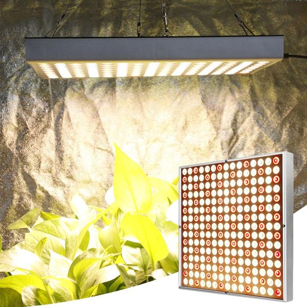 phytolamp for plants 3500k 1000w grow light indoor phyto lamp led grow tent lamp for flowers herbs lettuce seedlings cultivation
phytolamp for plants 3500k 1000w grow light indoor phyto lamp led grow tent lamp for flowers herbs lettuce seedlings cultivation