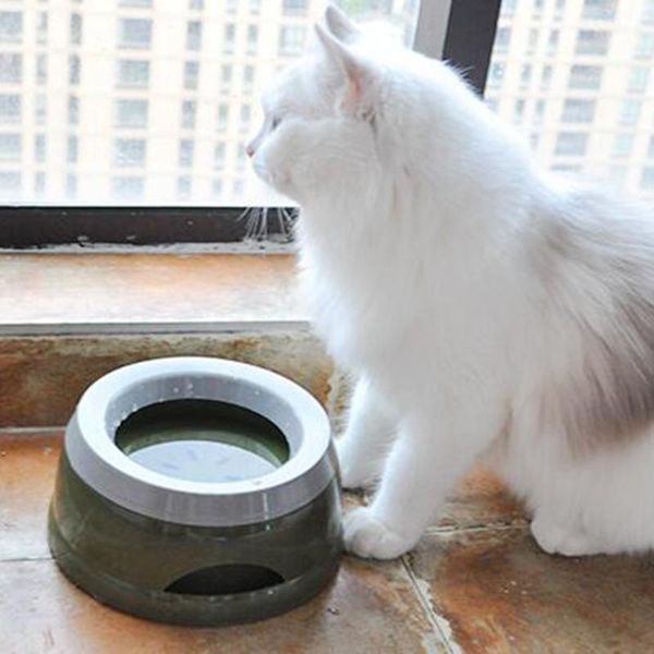 cat bowls & feeders pet non-wet mouth bowl splash-proof drinking durable plastic portable dog fountain
cat bowls & feeders pet non-wet mouth bowl splash-proof drinking durable plastic portable dog fountain