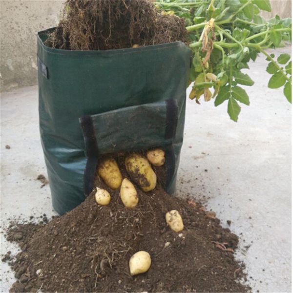 planters & pots woven potato strawberry cultivation planting bags vegetable garden growing farm home supplies
planters & pots woven potato strawberry cultivation planting bags vegetable garden growing farm home supplies