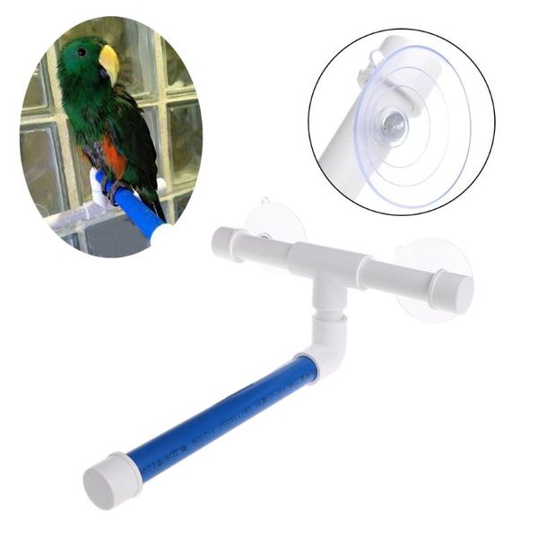 other bird supplies pet parrot bath shower perches standing platform rack suction wall cup toys
other bird supplies pet parrot bath shower perches standing platform rack suction wall cup toys