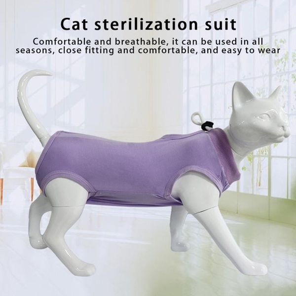 cat costumes pet kitten anti bite prevent lick recovery suit jumpsuit careafter wear vest clothing
cat costumes pet kitten anti bite prevent lick recovery suit jumpsuit careafter wear vest clothing