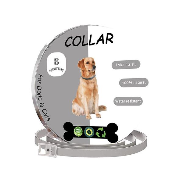 dog collars & leashes puppy cat collar collares para perros de perro collier chien chat personalizad grande collare cane coleira cachorro ho
dog collars & leashes puppy cat collar collares para perros de perro collier chien chat personalizad grande collare cane coleira cachorro ho
