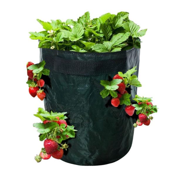 planters & pots diy strawberry planter pe cloth planting container bag thicken garden pot vegetable potato grow bags seedling growing
planters & pots diy strawberry planter pe cloth planting container bag thicken garden pot vegetable potato grow bags seedling growing
