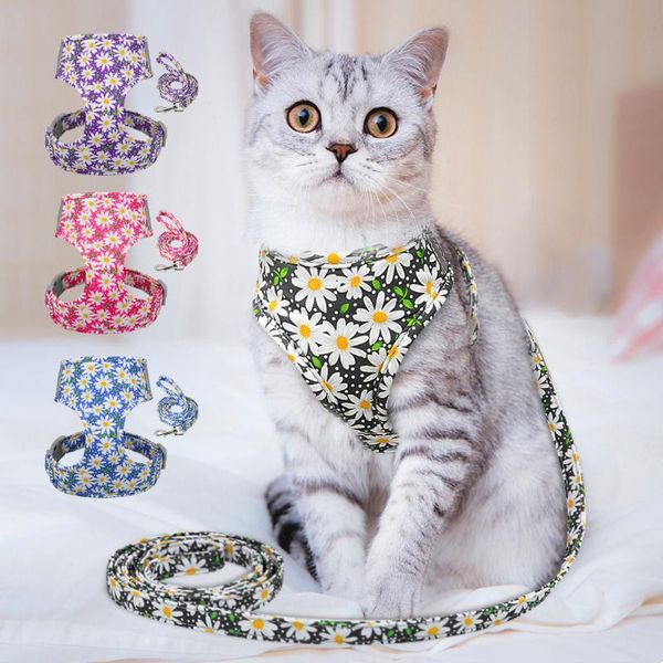 cute printed cat harness and leash set adjustable nylon mesh pet puppy cat walking harness vest leash for small cats dogs kitten
cute printed cat harness and leash set adjustable nylon mesh pet puppy cat walking harness vest leash for small cats dogs kitten