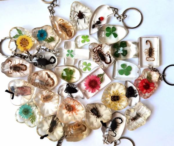 yqtdmy 12 pcs fashion real scorpion ant flower four leaf clover vogue keychain, Slivery;golden
yqtdmy 12 pcs fashion real scorpion ant flower four leaf clover vogue keychain, Slivery;golden