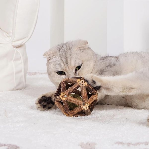 cat toys toy ball large wooden mint molar rod clean teeth bite pet funny kitten supplies
cat toys toy ball large wooden mint molar rod clean teeth bite pet funny kitten supplies