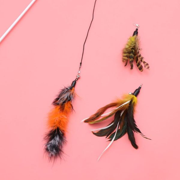 cat toys 1 set flexible teaser wand stick interactive feather catcher for pet cats (random color)
cat toys 1 set flexible teaser wand stick interactive feather catcher for pet cats (random color)