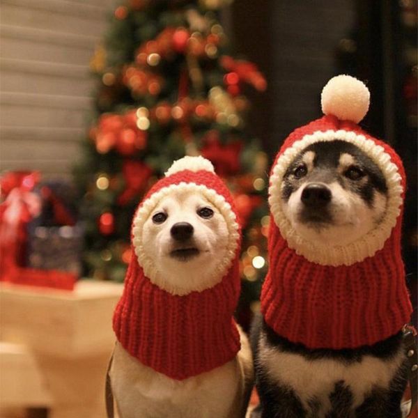dog apparel funny christmas hat costume red elastic acrylic cap warm crocheted winter pet knit headwear for pets year supplies
dog apparel funny christmas hat costume red elastic acrylic cap warm crocheted winter pet knit headwear for pets year supplies