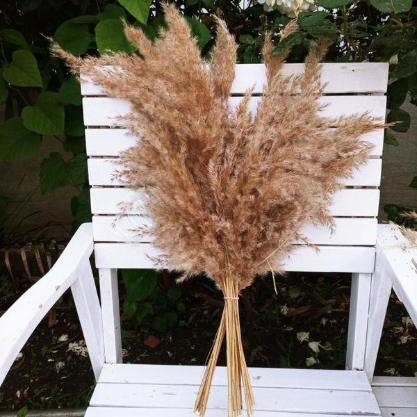 decorative flowers & wreaths 20pcs pampas grass super fluffy boho dry plant soft and natural plants reeds wedding home office kitchen
decorative flowers & wreaths 20pcs pampas grass super fluffy boho dry plant soft and natural plants reeds wedding home office kitchen