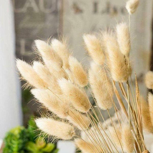 decorative flowers & wreaths dried artificial bouquets natural simulation plants for home decoration living room wedding jewel grass flower
decorative flowers & wreaths dried artificial bouquets natural simulation plants for home decoration living room wedding jewel grass flower
