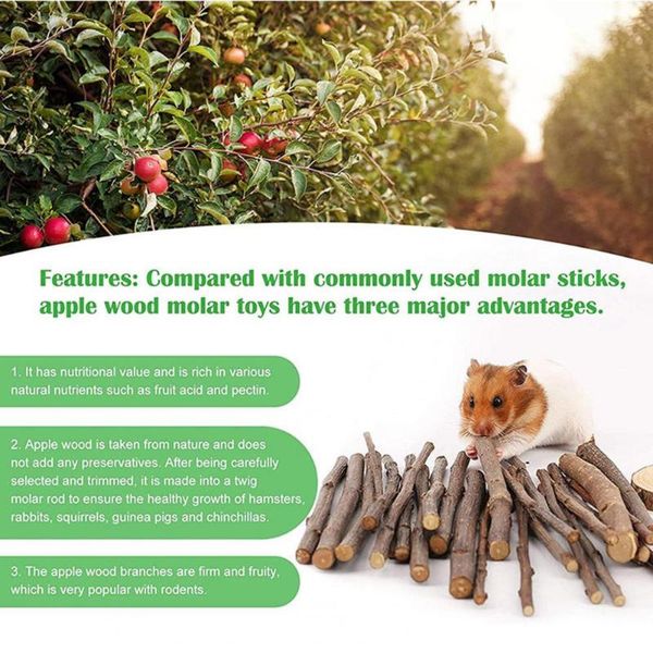 small animal supplies helpful hamster toy long lifespan natural smell molar squirrel guinea pig set for animals
small animal supplies helpful hamster toy long lifespan natural smell molar squirrel guinea pig set for animals