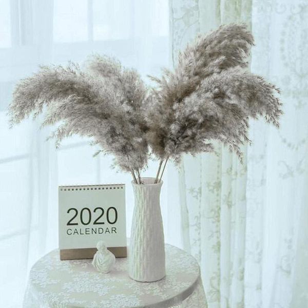 decorative flowers & wreaths 1pc pampas grass phragmites bonsai natural dried plants flower large real home garde decoration bouquet arrange
decorative flowers & wreaths 1pc pampas grass phragmites bonsai natural dried plants flower large real home garde decoration bouquet arrange