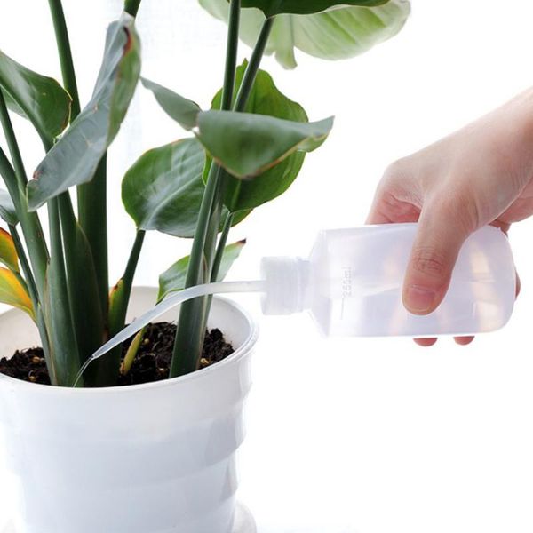 watering equipments 500ml tattoo accessories convenient bottle diffuser green soap supply wash squeeze lab non-spray
watering equipments 500ml tattoo accessories convenient bottle diffuser green soap supply wash squeeze lab non-spray