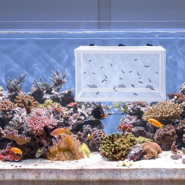 aquariums popetpop fish breeder net big size fry hatchery incubator with suction cup for tank aquarium
aquariums popetpop fish breeder net big size fry hatchery incubator with suction cup for tank aquarium